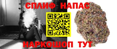 СК Дубна