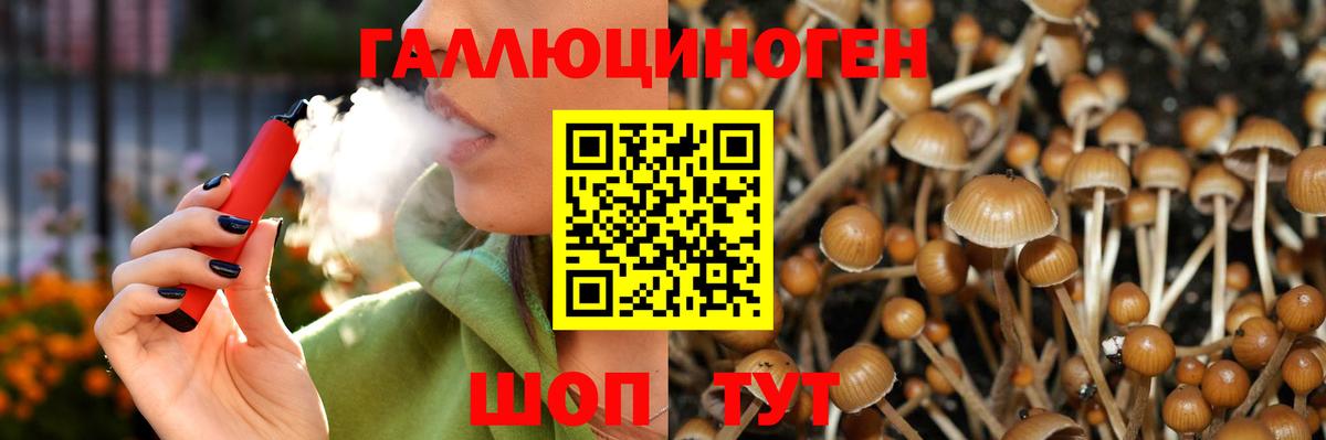 Псилоцибиновые грибы GOLDEN TEACHER  Вход с VPN  Будённовск 